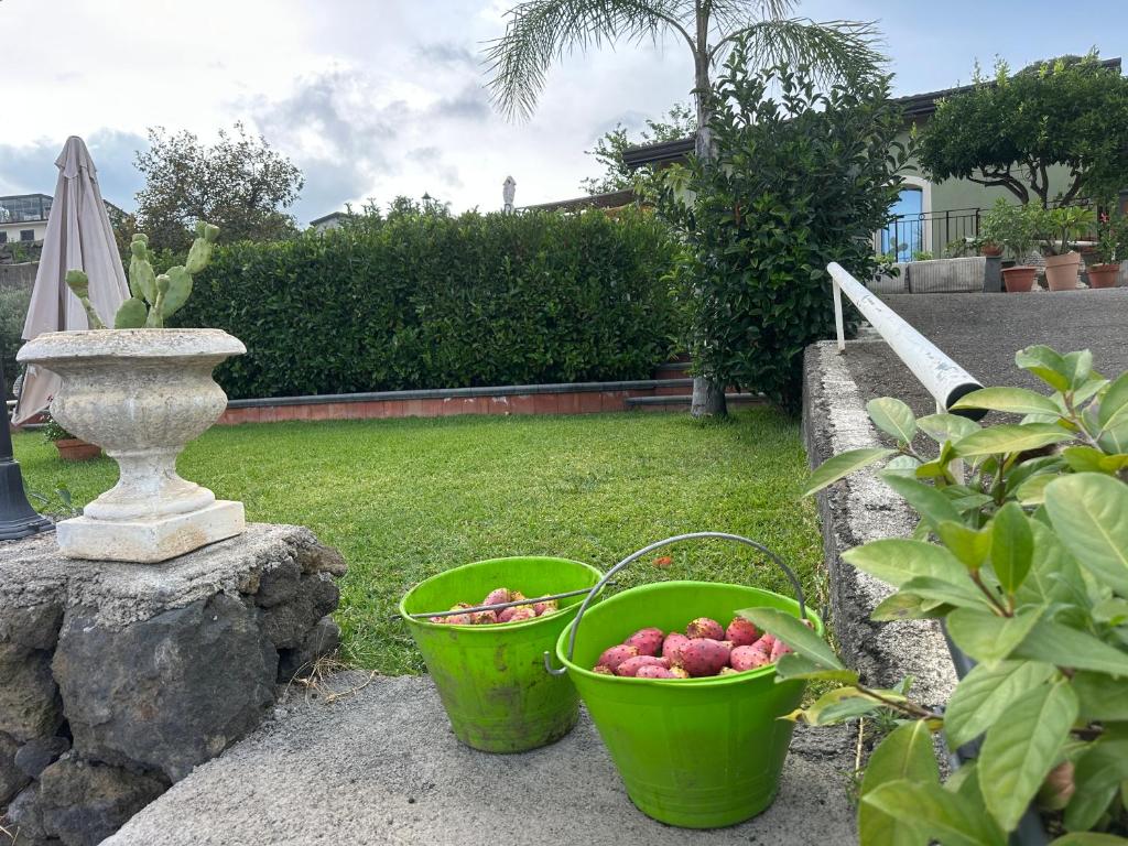 deux seaux de fruits posés sur un mur de pierre dans l'établissement Casa Verde Ulivo, à Montargano