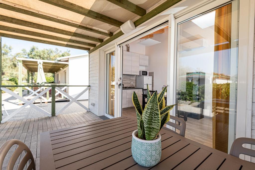 une terrasse couverte avec une table et une plante en pot dans l'établissement La Rondine, à Calambrone