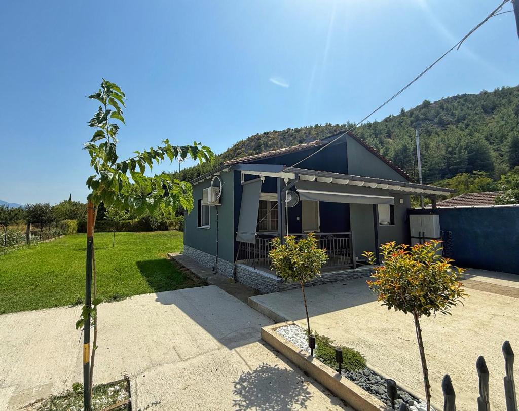 Mountain View Apartment 6