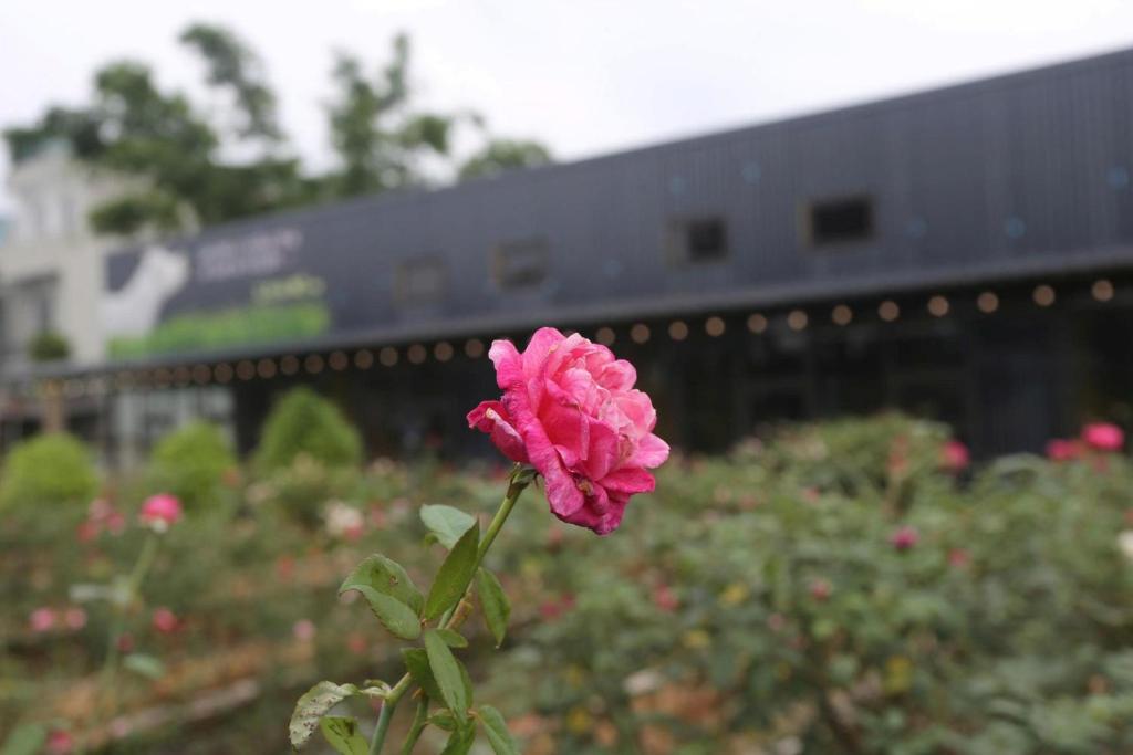 Làng Mô Experience Retreat