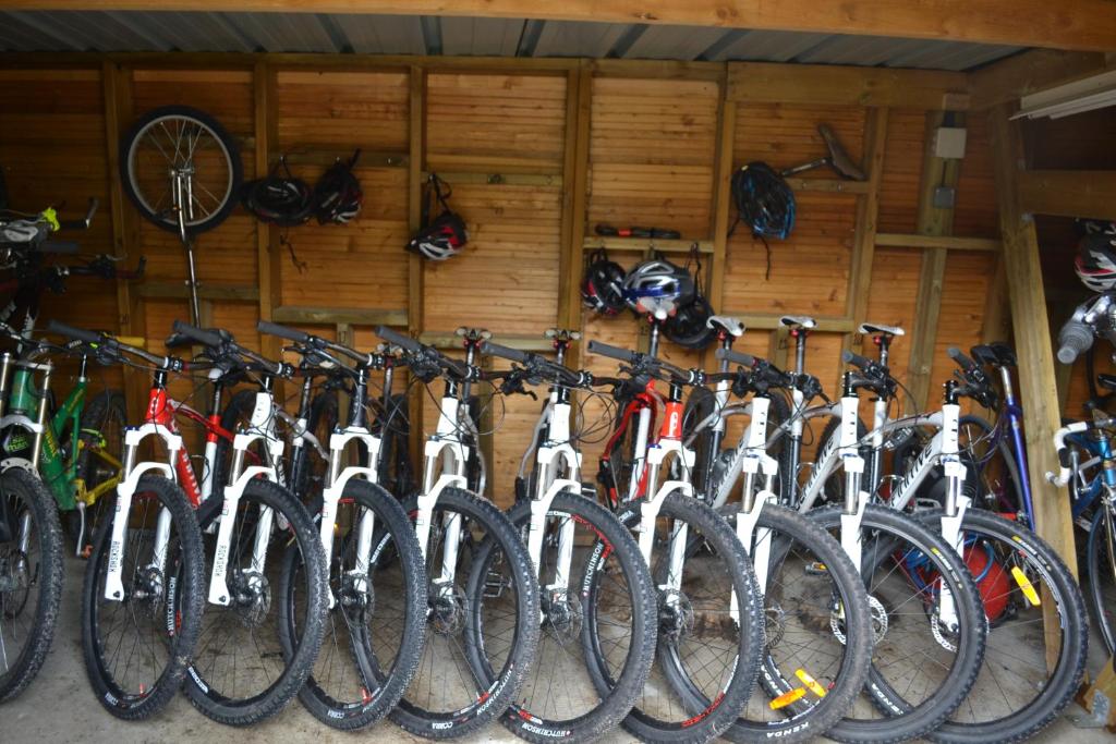 - une rangée de vélos garés dans un garage dans l'établissement Les Bulles de la Maison du Rocher, à Noisy-sur-École 29 autres photos