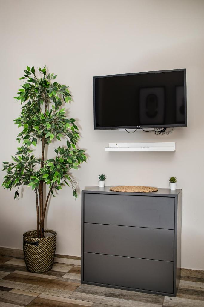 Charming Studio Apartments in Central Budapest 7