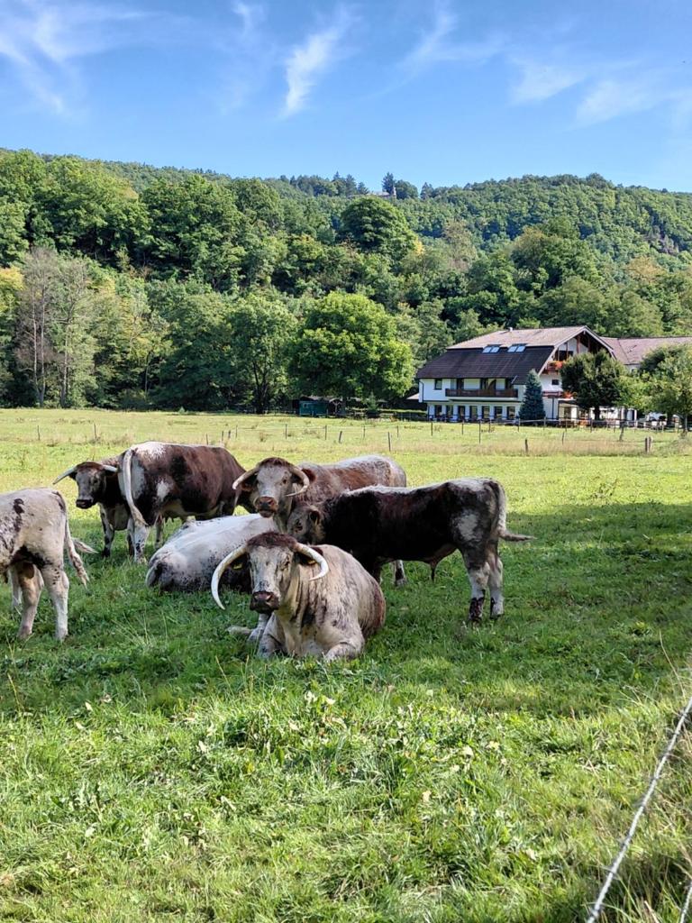 Gut Kallerbend 7