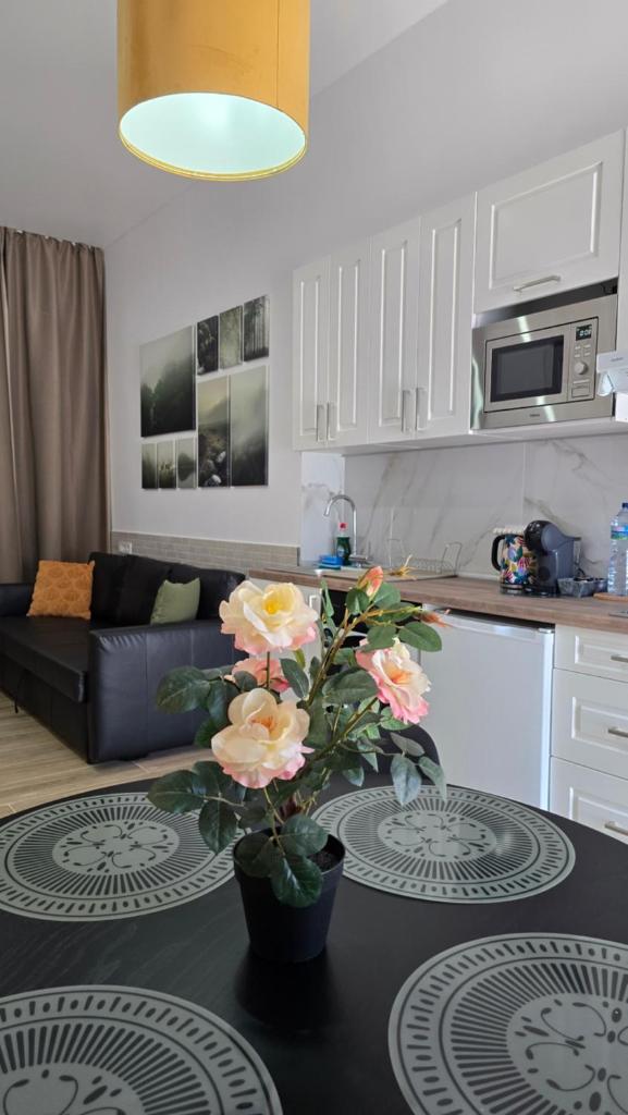 Apartamentos Vicent Clavel 8