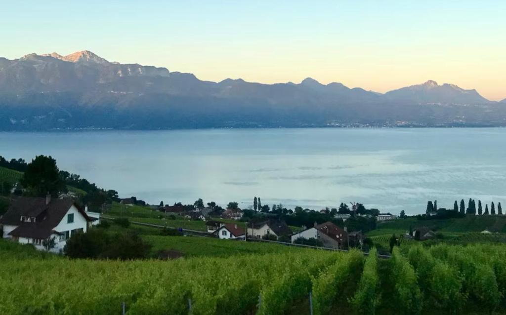2 pièces vue Lac Lutry, Lausanne avec grande Terrasse 8