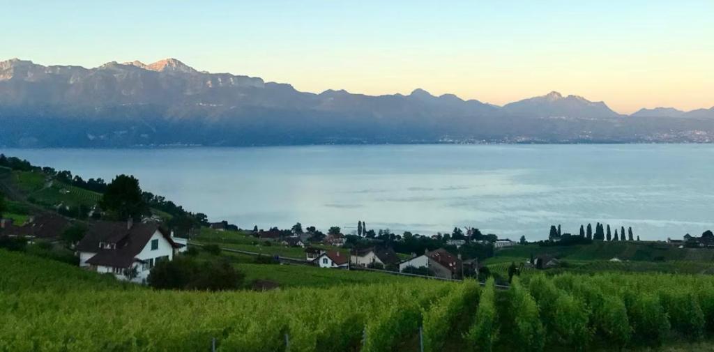 2 pièces vue Lac Lutry, Lausanne avec grande Terrasse 7