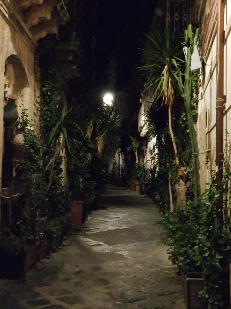 Ortigia SÈFER