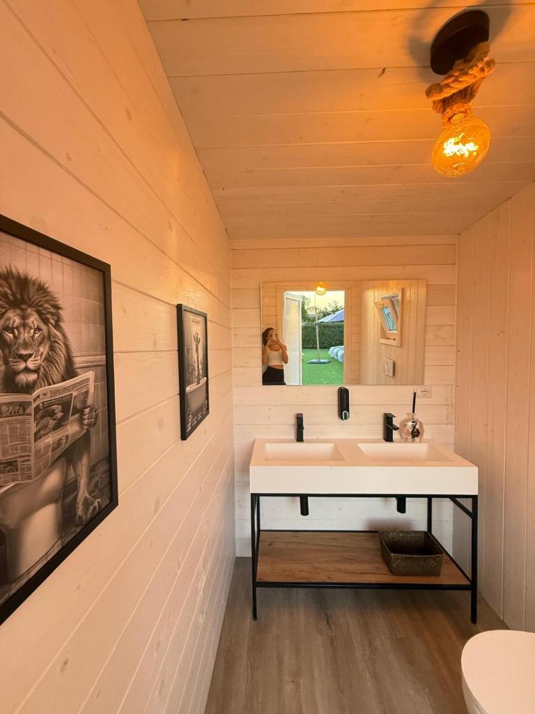 une salle de bain avec un lavabo et une image d'un lion dans l'établissement Villa Ikal, à Modugno