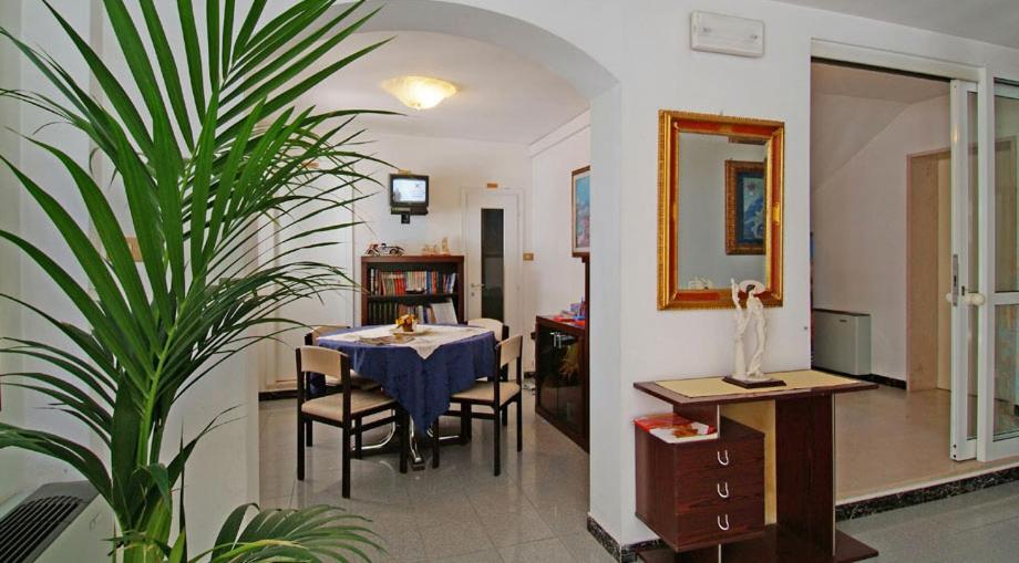 une salle à manger avec une table et une plante dans l'établissement Hotel Wilma, à Rimini