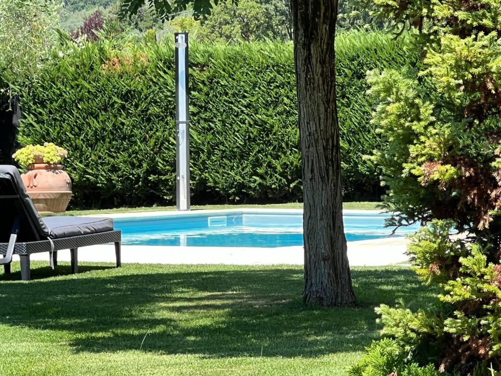 - une piscine avec un banc à côté d'un arbre dans l'établissement Villa in Tuscany with Private Pool & Views, à Loro Ciuffenna