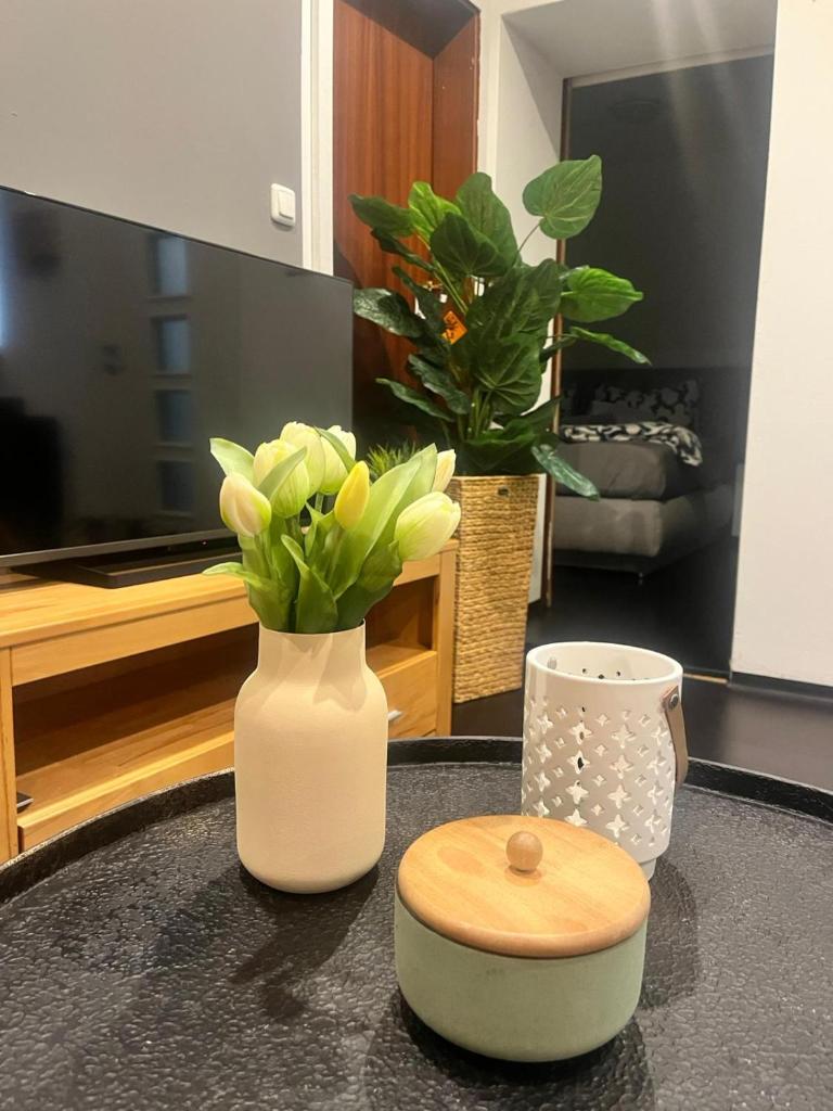 Apartment am Hauptbahnhof 7