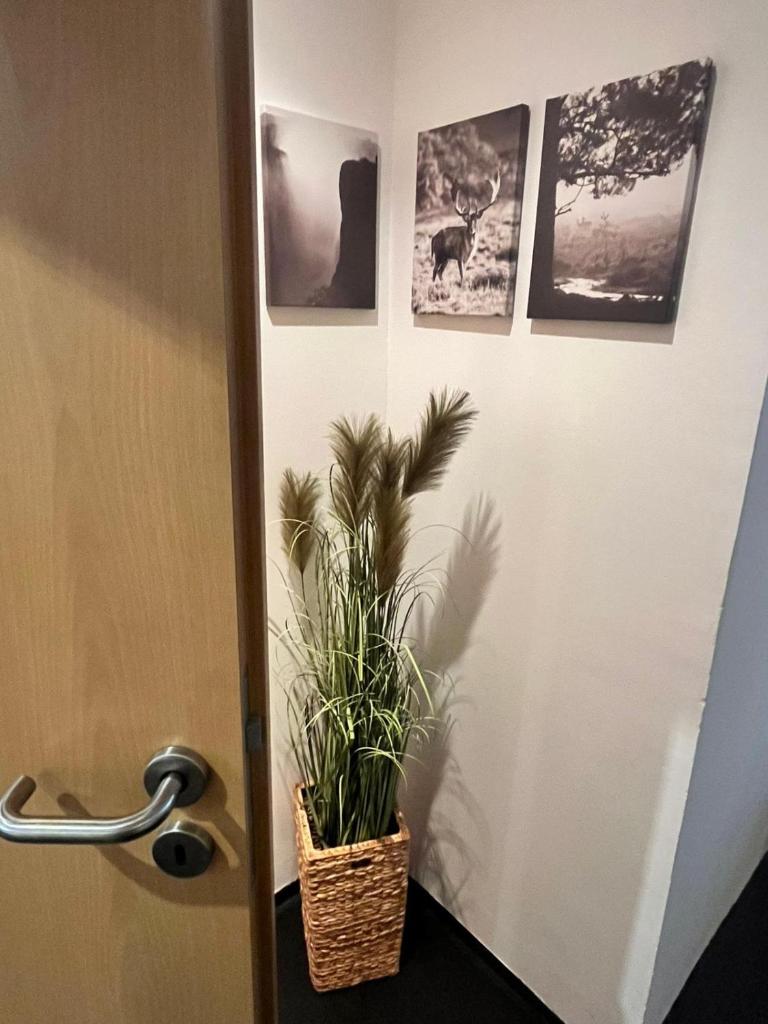 Apartment am Hauptbahnhof 4