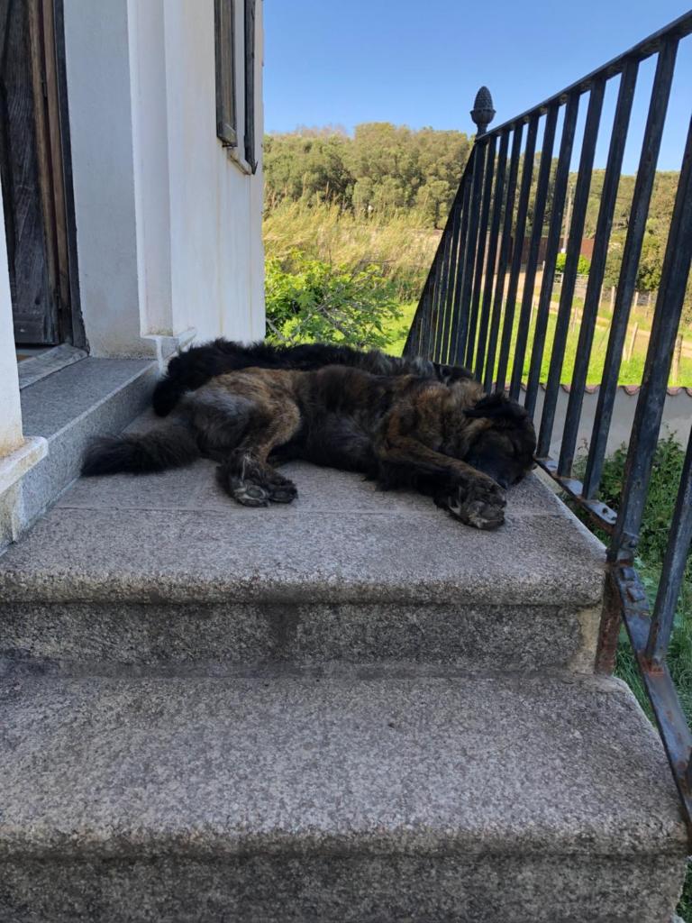 A Loghja Di Cavallo Morto 7