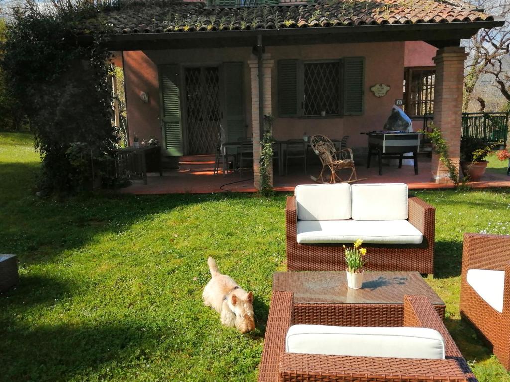 un chien debout dans l'herbe devant une maison dans l'établissement Villa delle rose Brisighella, à Brisighella