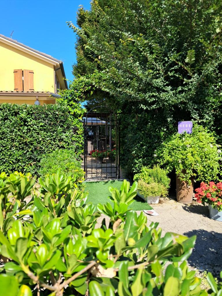 Hebe Home Riccione 2