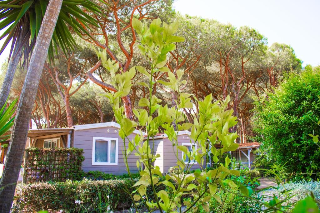 une maison violette avec un palmier devant dans l'établissement ISA - Village with swimming pool in Albinia just 150 mt from the sea, à Albinia