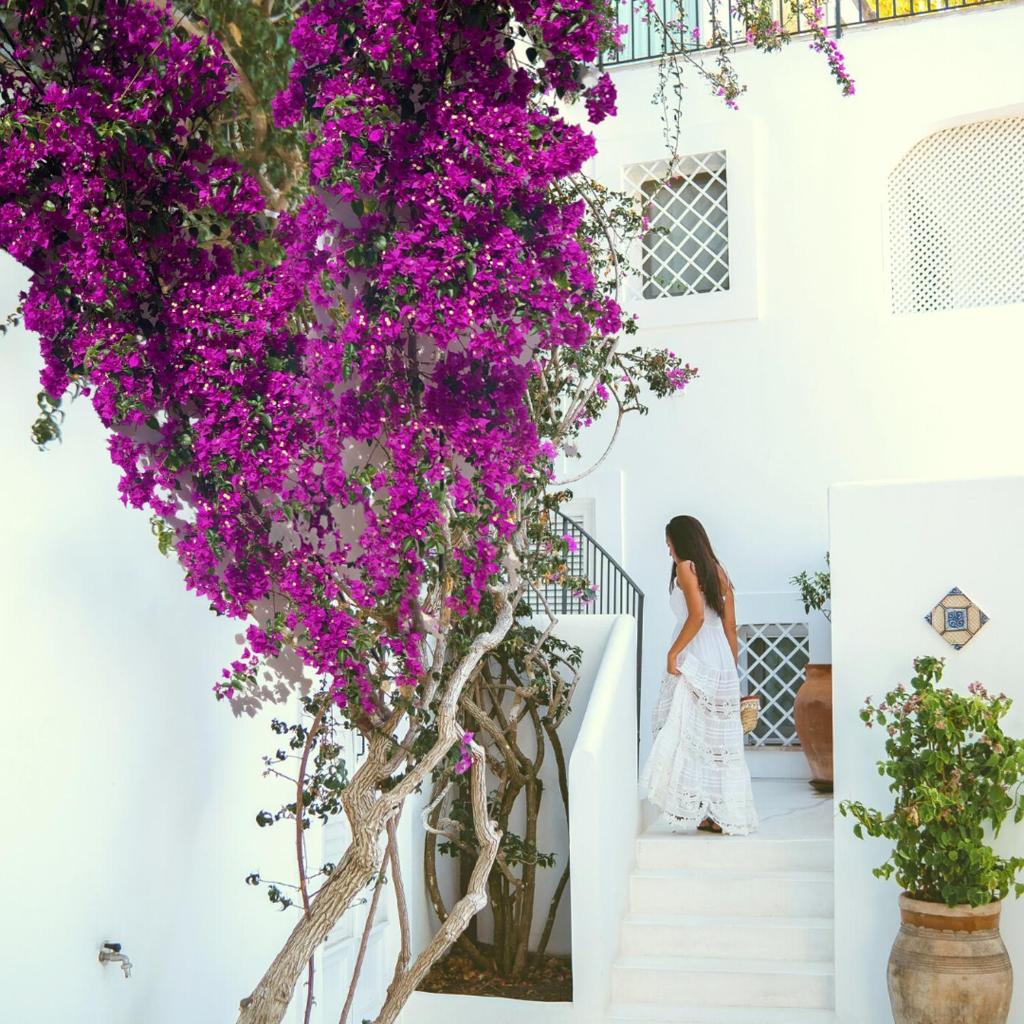 une femme descendant les escaliers avec des fleurs violettes dans l'établissement Le Calette N.5, à Cefalù 81 autres photos
