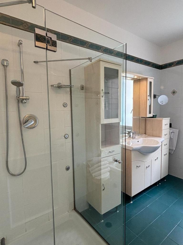 une salle de bain avec une douche en verre et un lavabo dans l'établissement Hotel Delle Rose, à San Bartolomeo al Mare