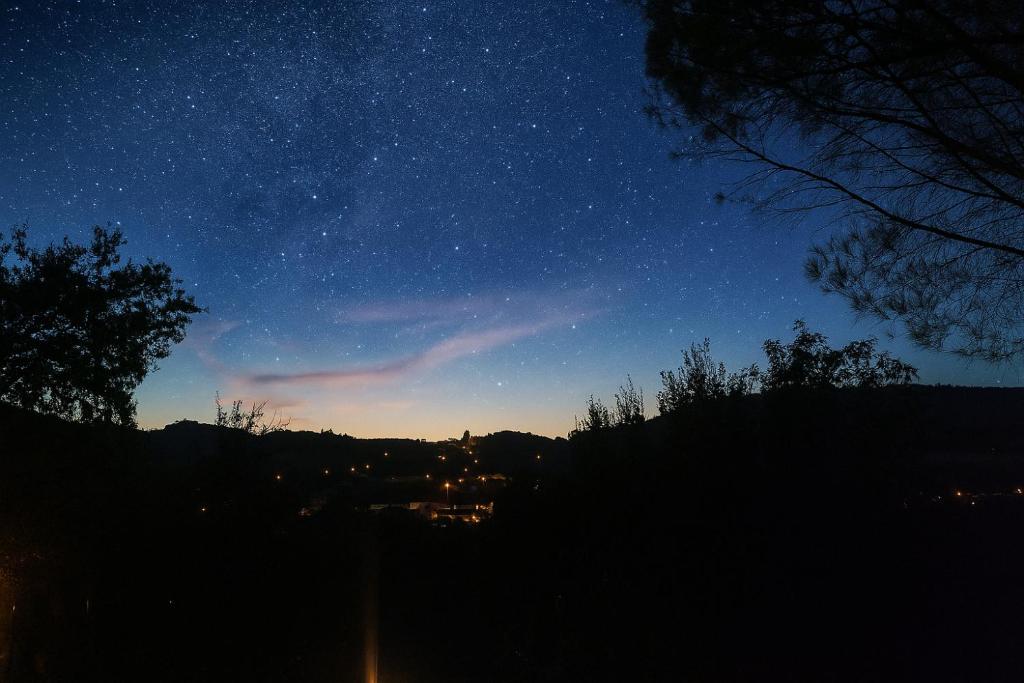 une vue nocturne d'un ciel étoilé avec un arbre dans l'établissement Villa delle rose Brisighella, à Brisighella