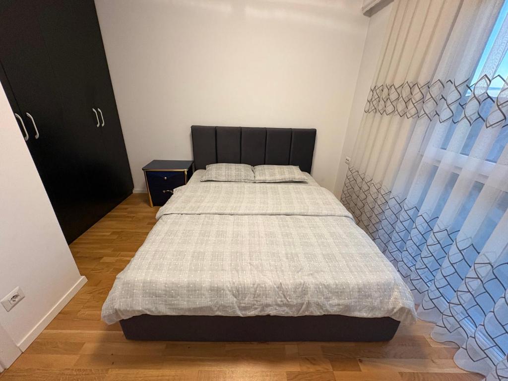 Pika Apartment 2