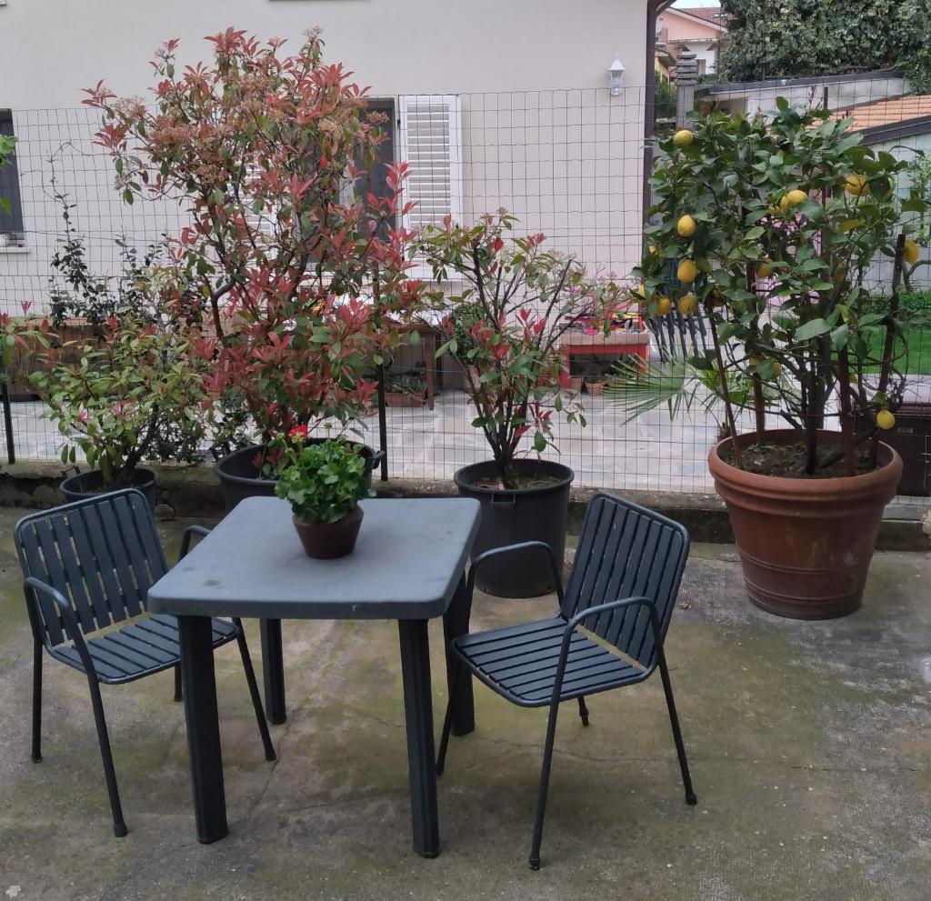 Casa Tesi 8