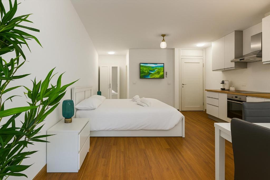Historic Center Suite - Balcony, Air Conditioning & Fast Free Wi-Fi 2