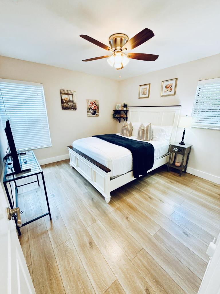 Stylish Stay Close to UM City Vibes 7