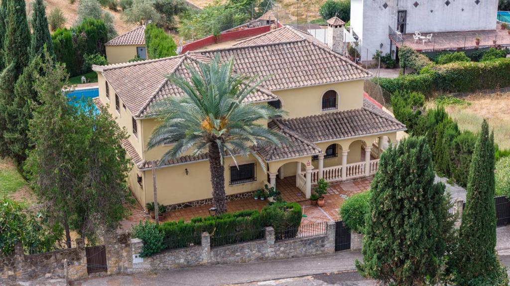 El Carmen 7