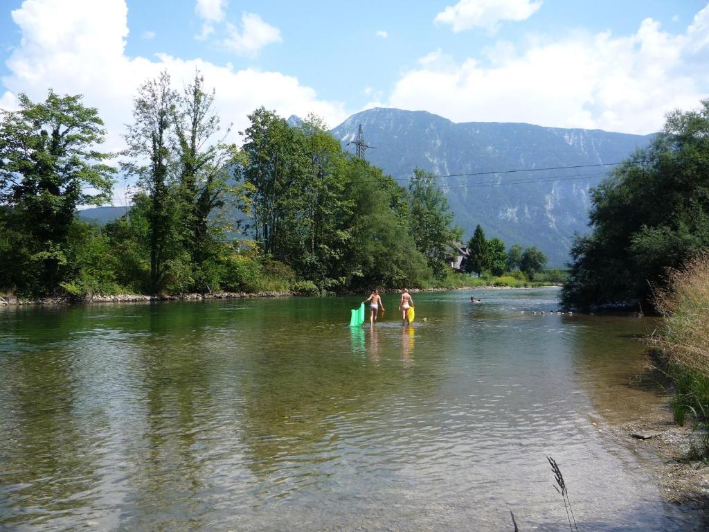 Landhaus HALLSTATT FEELING - Apartment - Self Check-in 5