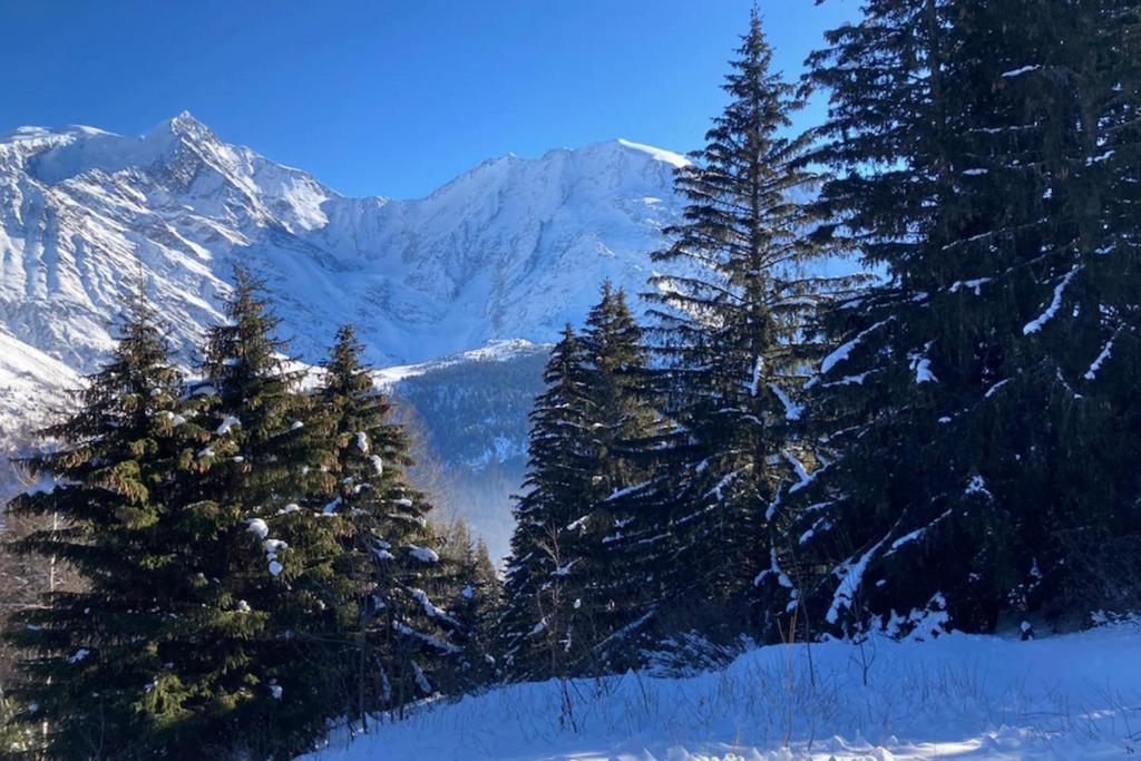 un groupe d'arbres dans la neige avec des montagnes dans l'établissement T2 with pool in Saint-Gervais-les-Bains, à Saint-Gervais-les-Bains