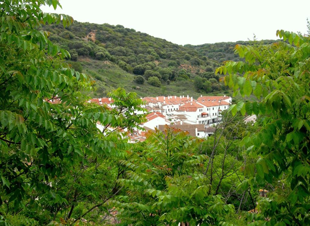 Casa del Maestro 8