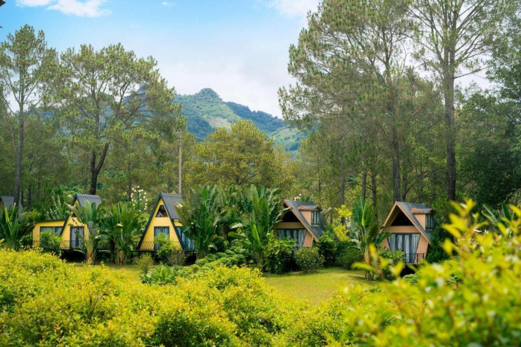 Phoenix Moc Chau Resort