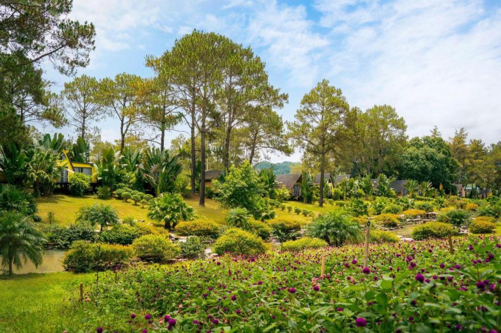 Phoenix Moc Chau Resort