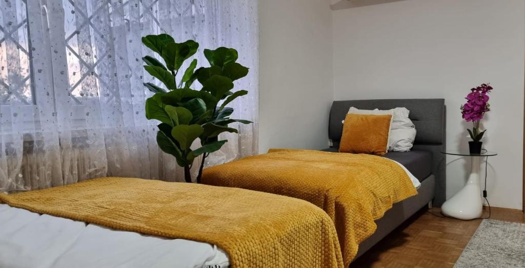 3 Zimmer in Linz - free parking - self check in 6
