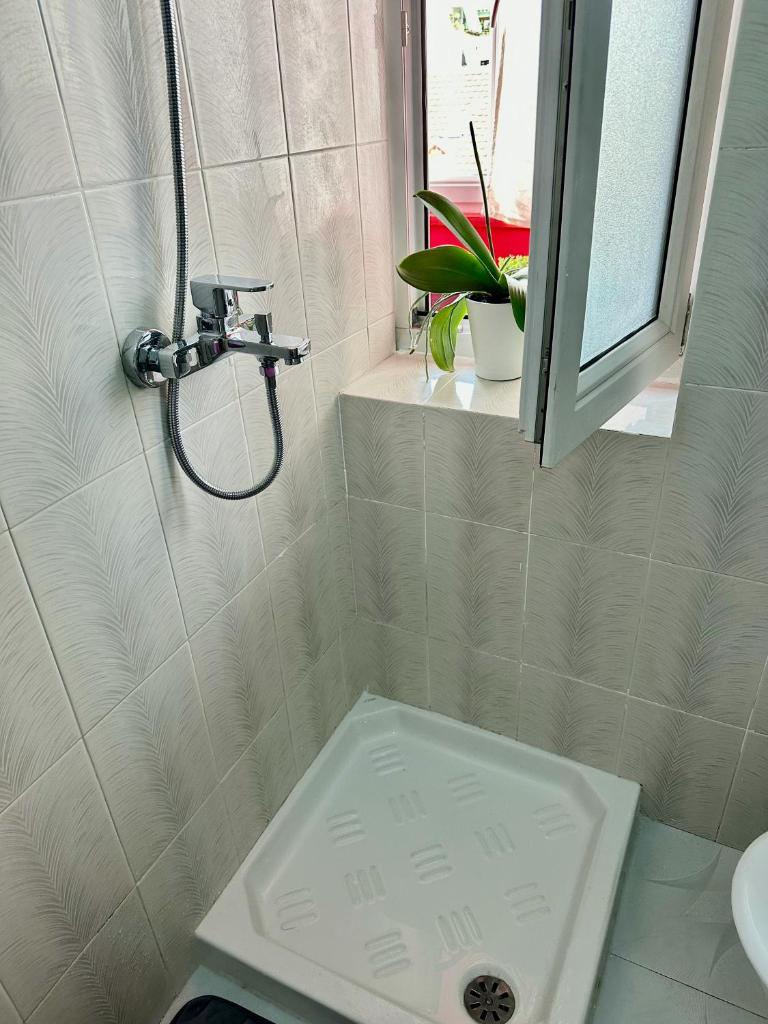 Soraya Home - New Bazaar 8