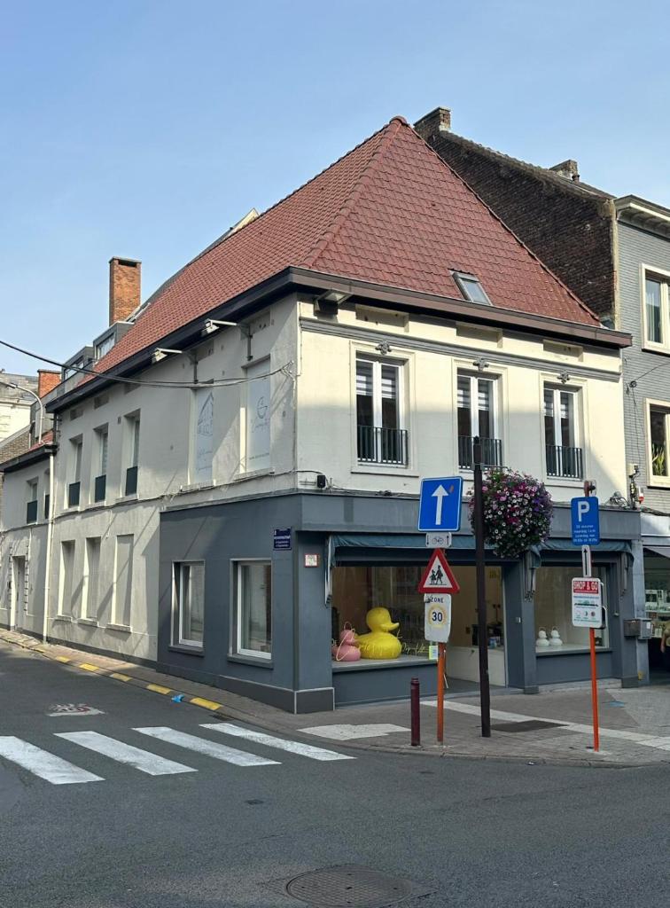Vakantiewoning De Curiositeit 6