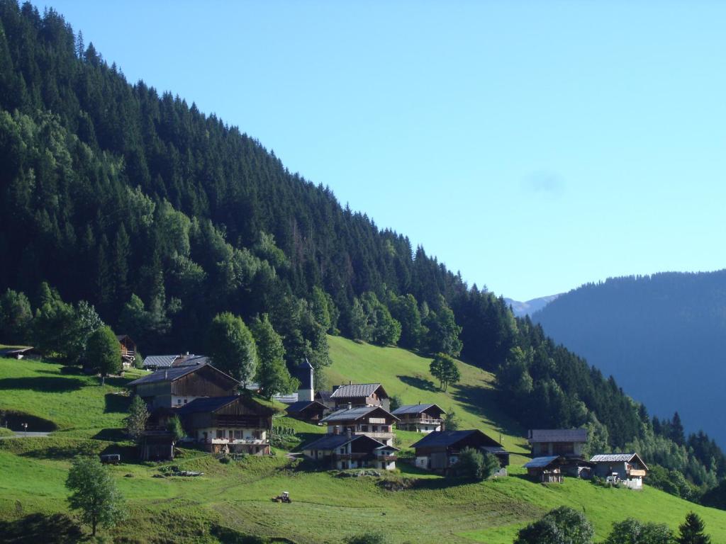 un village sur une colline avec de l'herbe verte et des arbres dans l'établissement Les Myosotis, à Arêches 8 autres photos