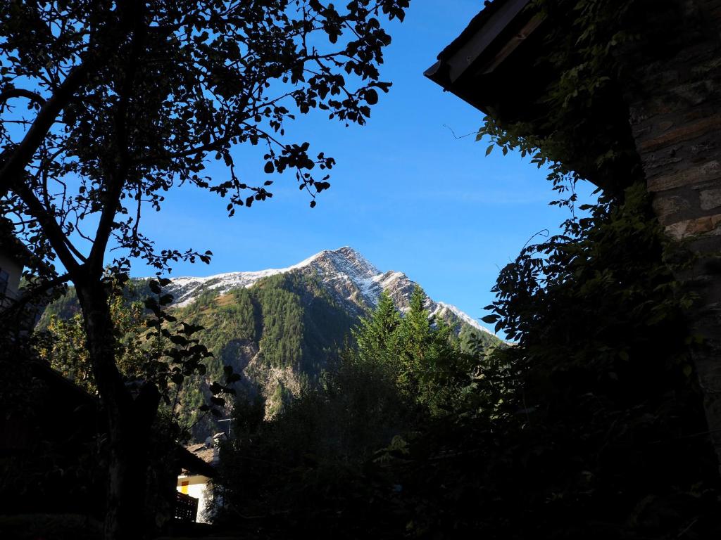 Courmayeur Cozy Nest