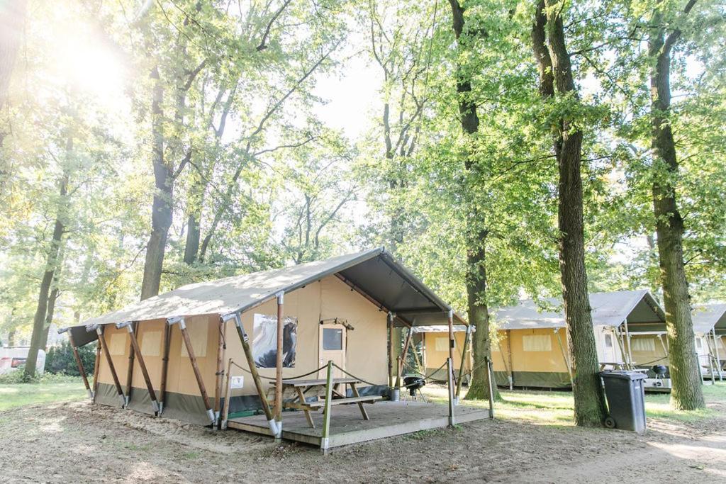 Ferienhäuser Seepark Ternsche 2