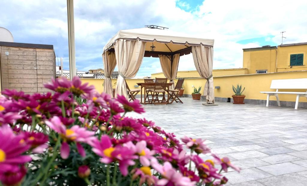 La terrazza di Silvana 6