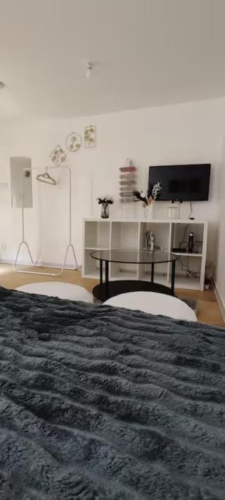 Charming studio with terrace in Roubaix 5