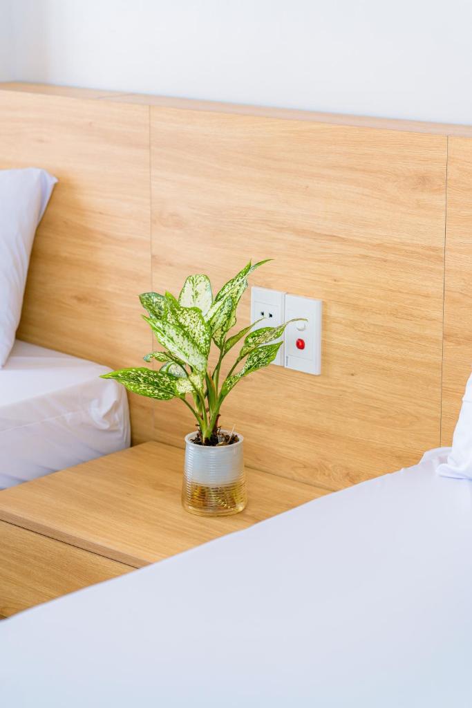 Sea dragon hotel Cát Bà - Aparment