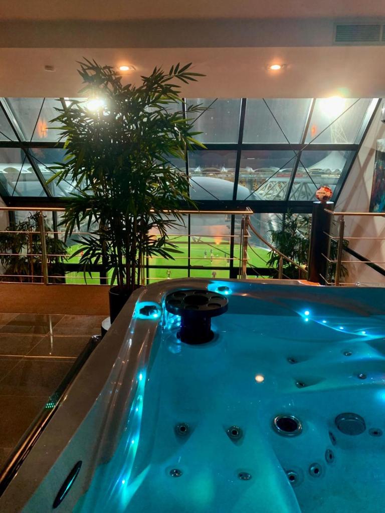 Wellness Dome Penthouse Suite 2
