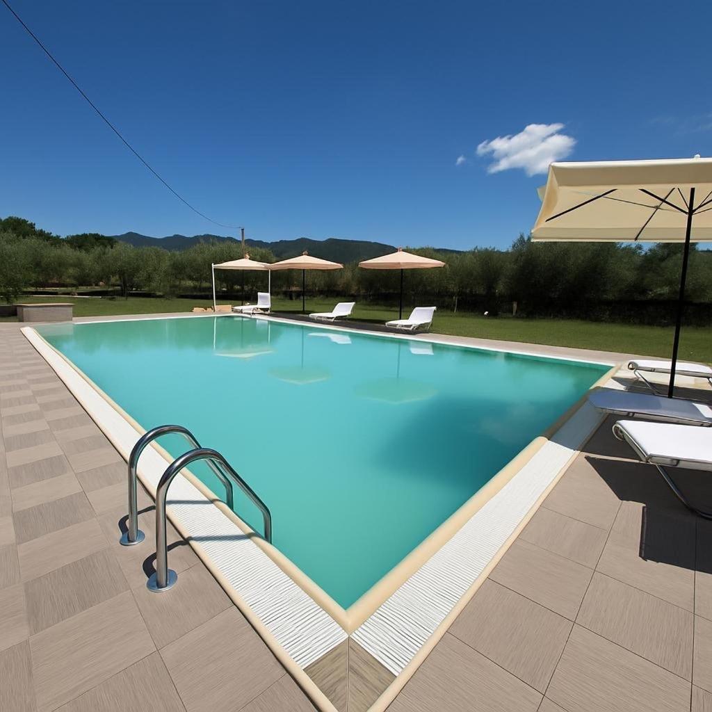 une grande piscine avec des chaises et un parasol dans l'établissement villa Diamante, à Lamporecchio