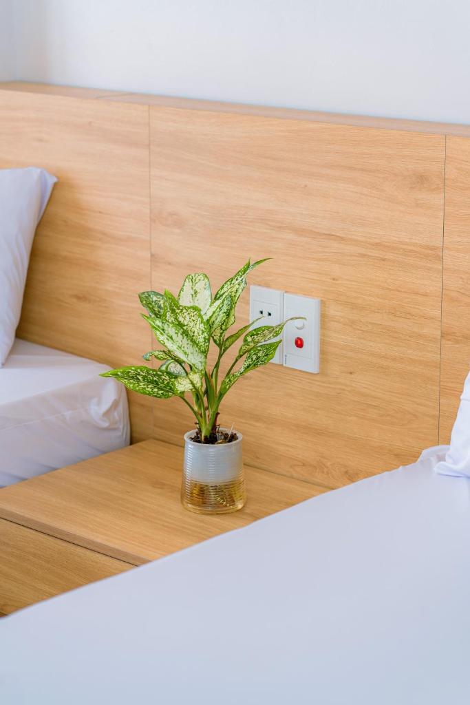 Sea dragon hotel Cát Bà - Aparment