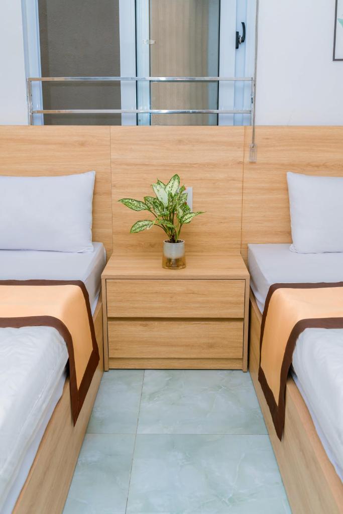Sea dragon hotel Cát Bà - Aparment