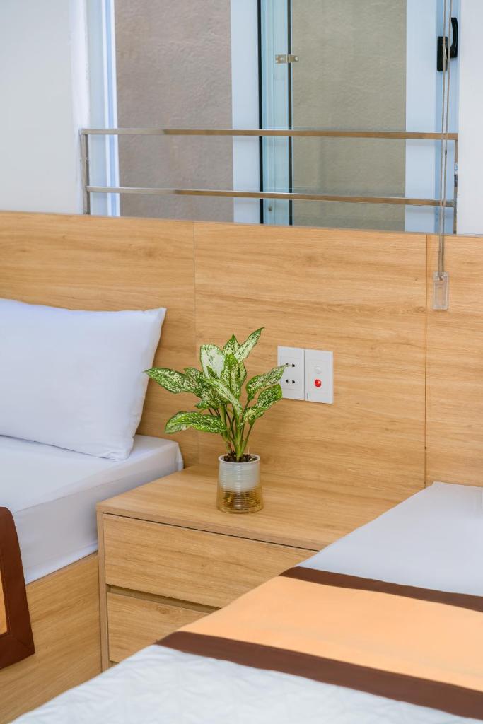 Sea dragon hotel Cát Bà - Aparment