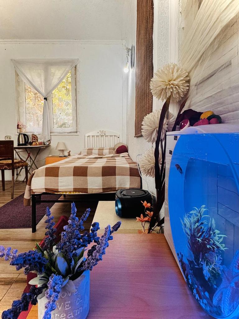 Private Guest Room with Garden Access 7