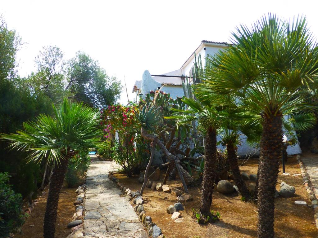 un jardin avec des palmiers en face d'une maison dans l'établissement Villa Anna Maria, à Santa Margherita di Pula