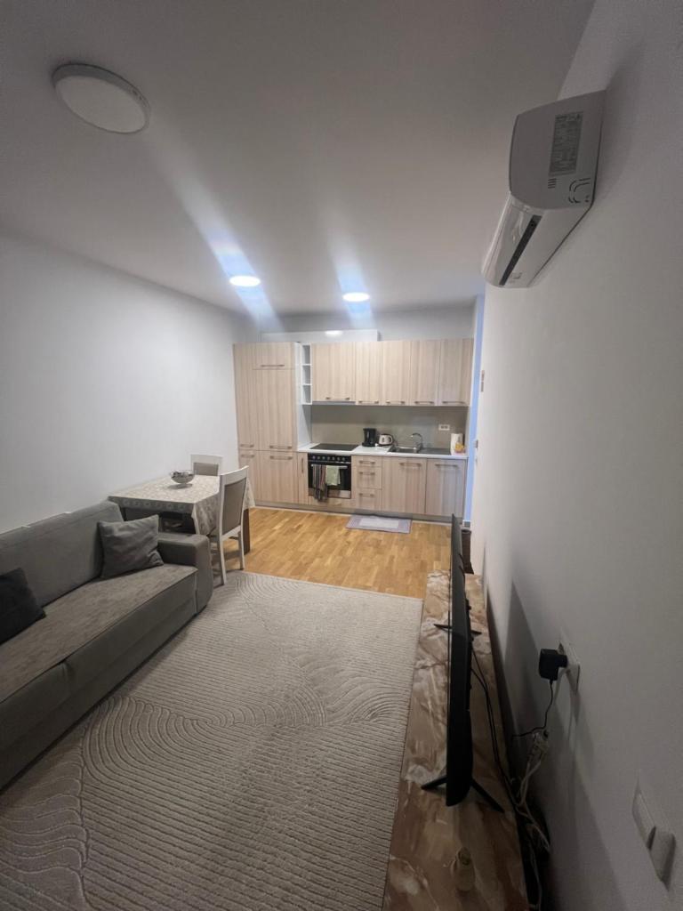 Luxury & Green Apartments , near City Center, Free Parking 4